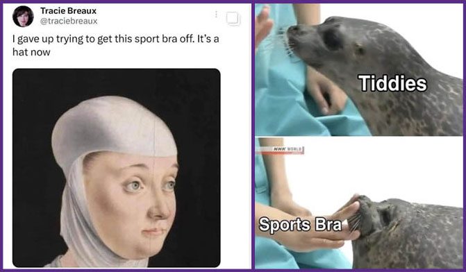 Sports bra memes