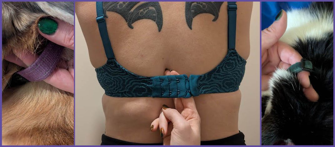 Bra band tension test